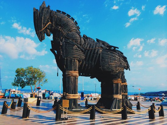 çanakkale turuva atı