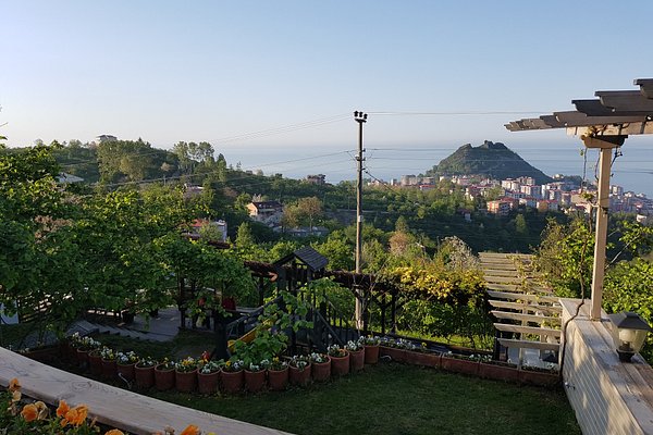Keşap ta Gezilecek Yerler – Armutdüzü Köyü, Şahin Kayası, Tarihi Kale Kalıntıları ve Dođayla İç İçe Karadeniz Rotası