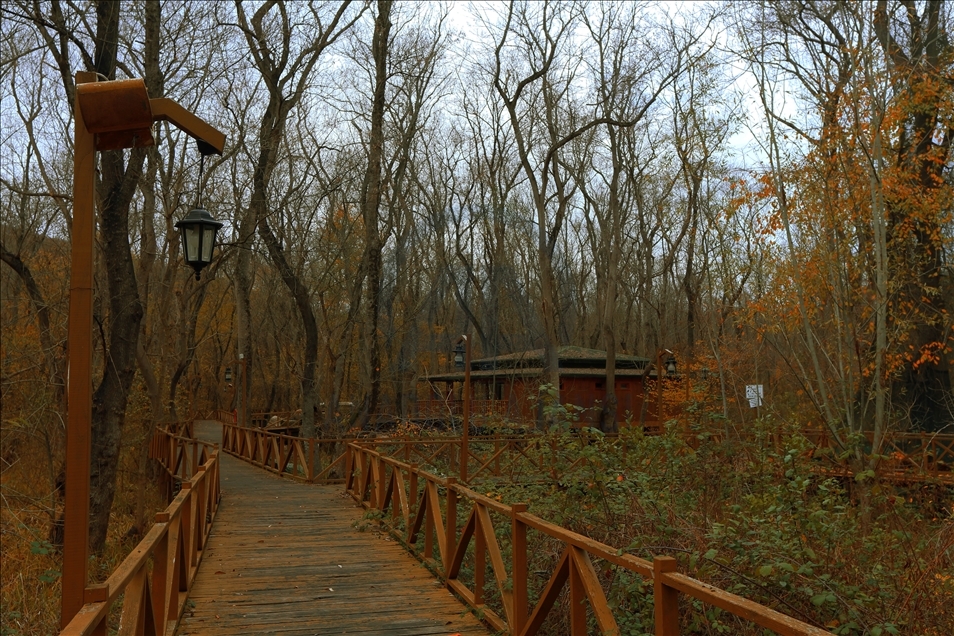 Samsun Kavak Gezilecek Yerler | Tarihi ve Doğal Güzellikler Rehberi