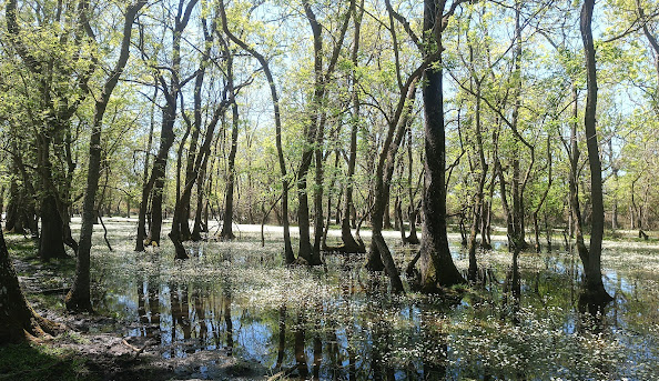 Samsun Ondokuzmayıs Gezilecek Yerler | Doğa ve Tarih Rehberi